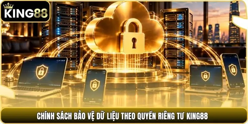 Chính sách bảo vệ dữ liệu theo quyền riêng tư king88