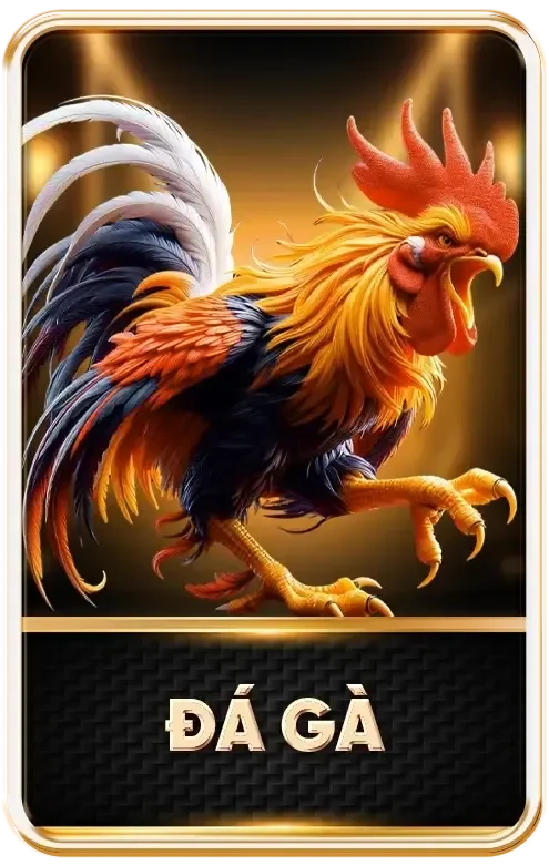 https://taiking88.com/