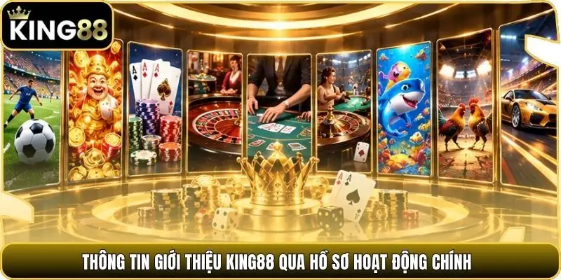 Thông tin giới thiệu king88 qua hồ sơ hoạt động chính